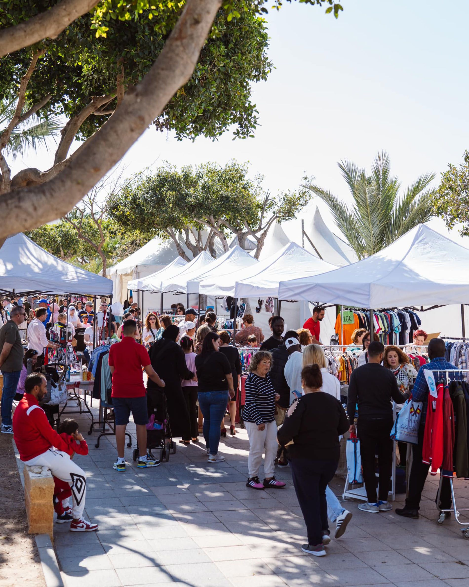 Los nijareños se vuelcan con la I Feria del Libro de Campohermoso